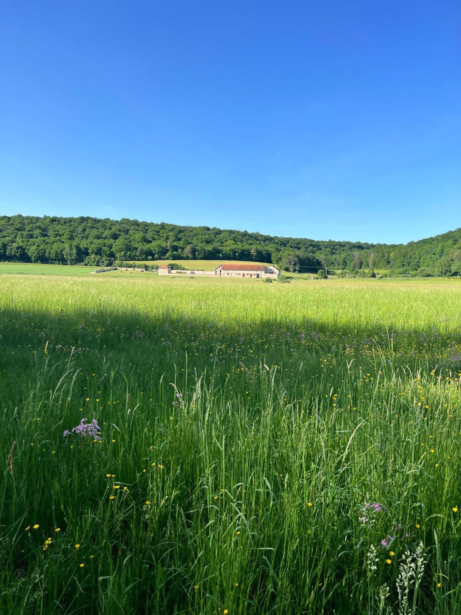 Gite (4 pers) de la Vallée de l'Aujon Arc-en-Barrois Extérieur photo
